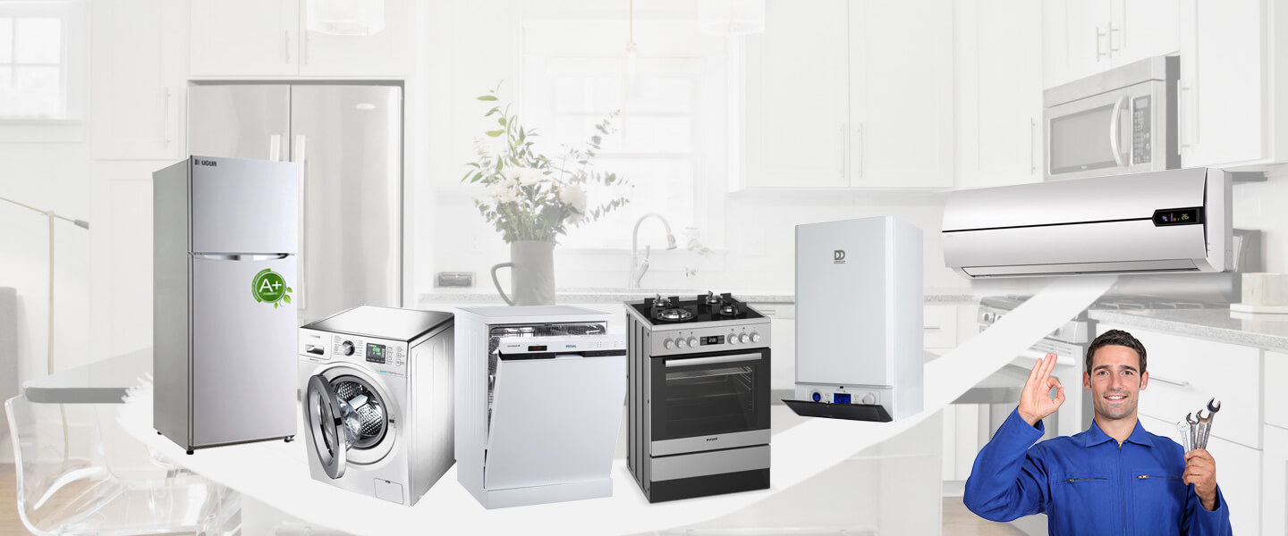 Ahlat Electrolux Servisi